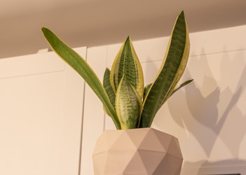 Similar image 21989650