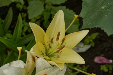 Similar image 21989508