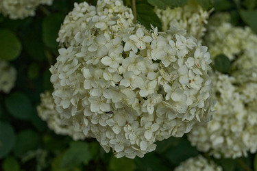 Similar image 21989509