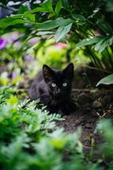 Similar image 21989787