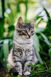 Similar image 21990106