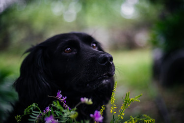 Similar image 21990108