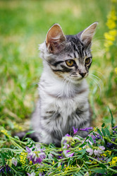 Similar image 21990109