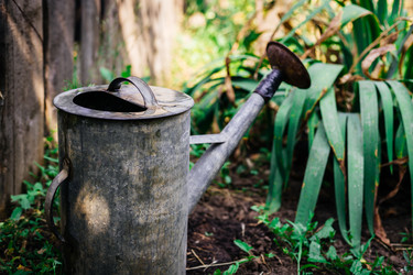 Similar image 21990110