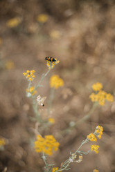 Similar image 21990120