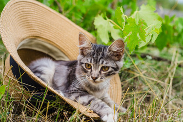 Similar image 21990121