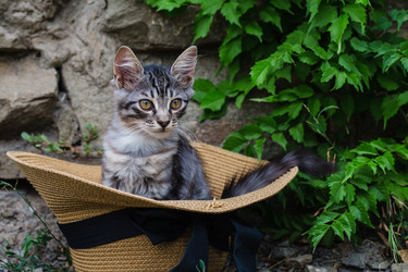 Similar image 21990122