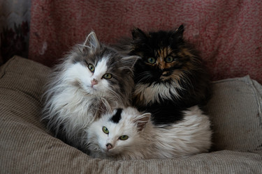 Similar image 21989367