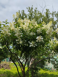 Similar image 21989790