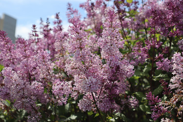 Similar image 21989796