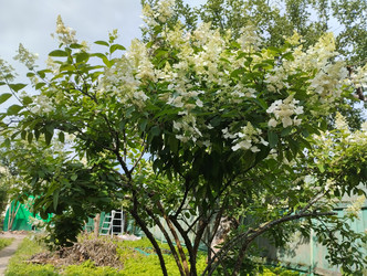 Similar image 21989799