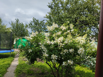 Similar image 21989800