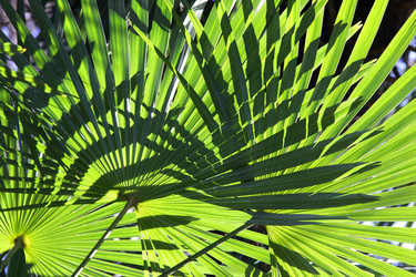 Similar image 21989515