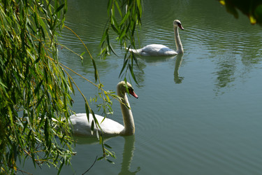 Similar image 21989378