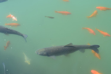 Similar image 21989379