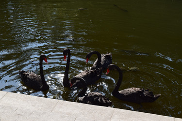 Similar image 21989380