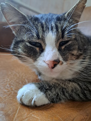 Similar image 21989803