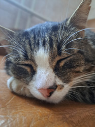 Similar image 21989804