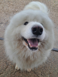 Similar image 21989805