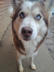 Similar image 21989806