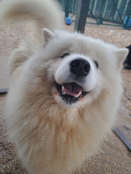 Similar image 21989807