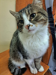 Similar image 21989808