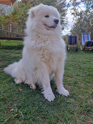 Similar image 21989809