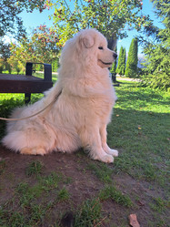 Similar image 21989810