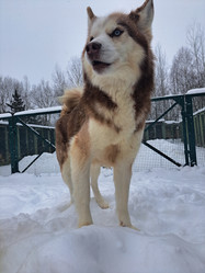 Similar image 21989811