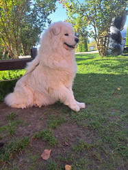 Similar image 21989812