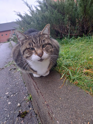 Similar image 21989814