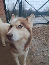 Similar image 21989815