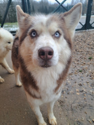 Similar image 21989816