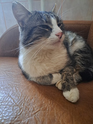 Similar image 21989817