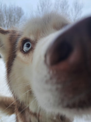 Similar image 21989818