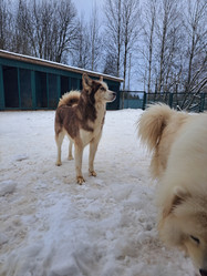 Similar image 21989820