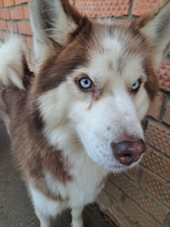 Similar image 21989821