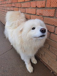 Similar image 21989822