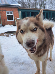 Similar image 21989823