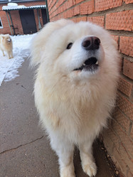 Similar image 21989824