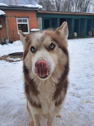 Similar image 21989825