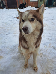 Similar image 21989826