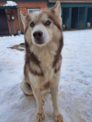 Similar image 21989827