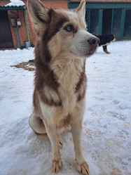 Similar image 21989828