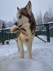 Similar image 21989830