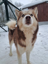 Similar image 21989831