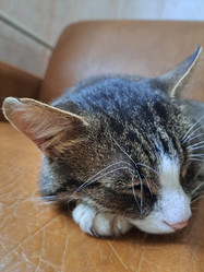 Similar image 21989833