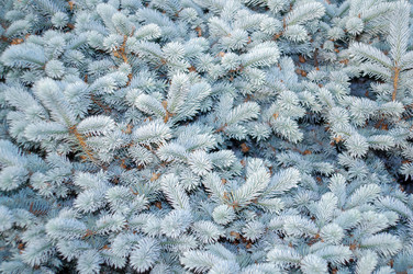 Similar image 21990477