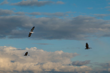 Similar image 21989840