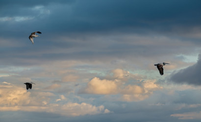 Similar image 21989841